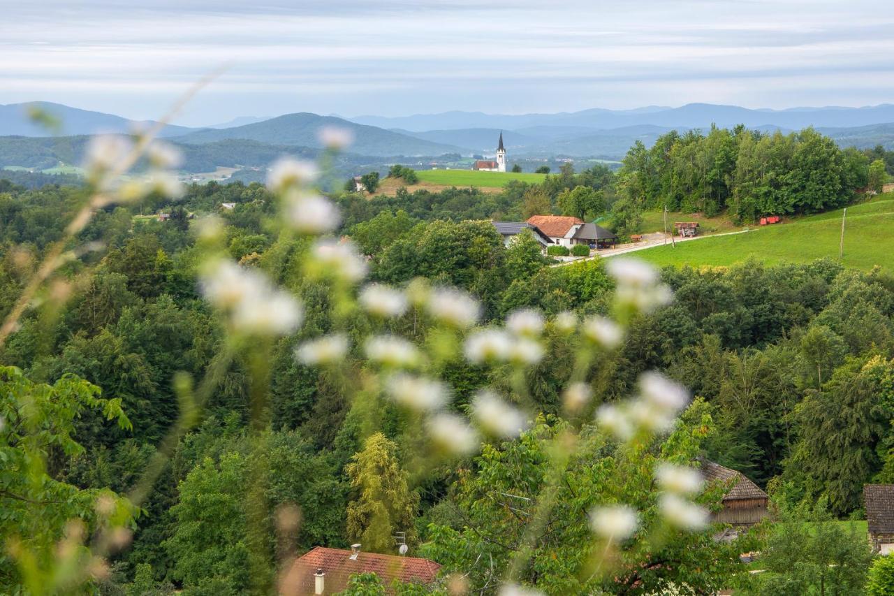 Domacija Vesel Villa Trebnje Kültér fotó