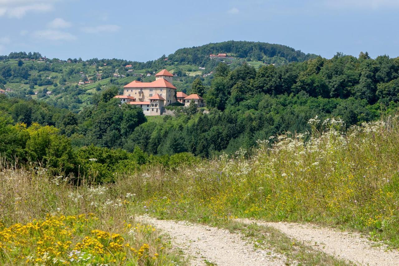 Domacija Vesel Villa Trebnje Kültér fotó