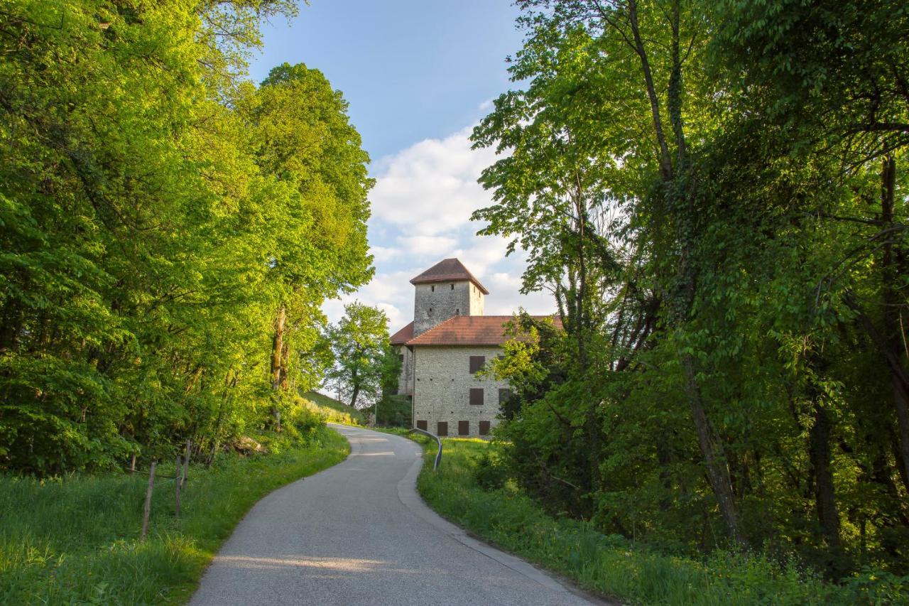 Domacija Vesel Villa Trebnje Kültér fotó
