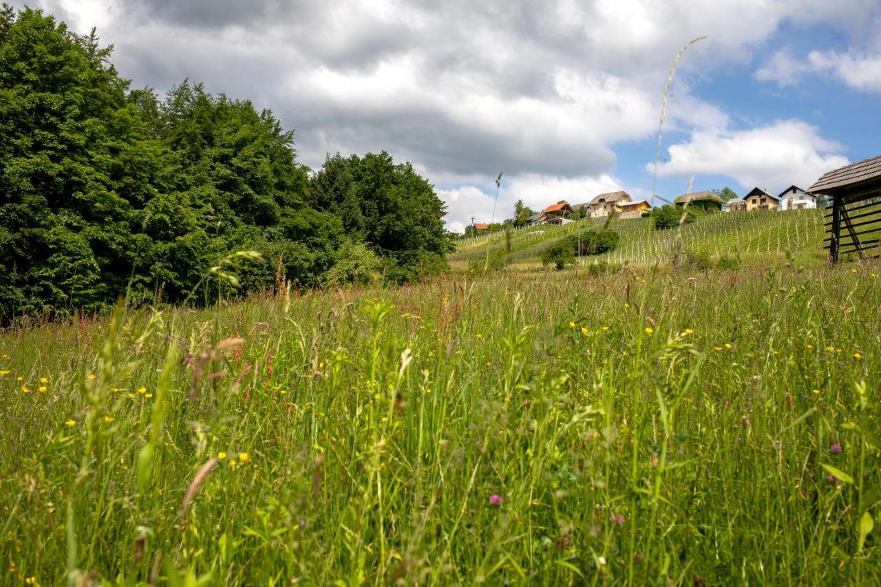 Domacija Vesel Villa Trebnje Kültér fotó