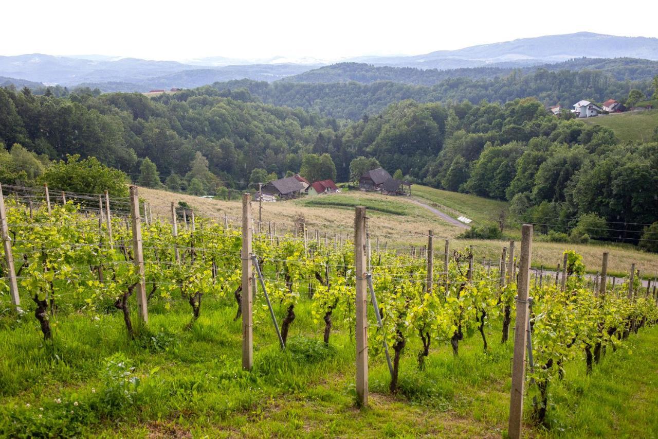 Domacija Vesel Villa Trebnje Kültér fotó